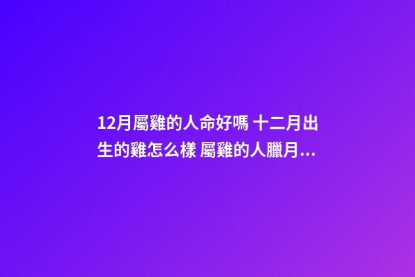 12月屬雞的人命好嗎 十二月出生的雞怎么樣 屬雞的人臘月出生命運(yùn)如何，屬雞的人運(yùn)氣好嗎？-第1張-觀點(diǎn)-玄機(jī)派
